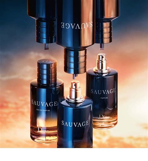 jak pachnie dior sauvage|dior sauvage perfumy.